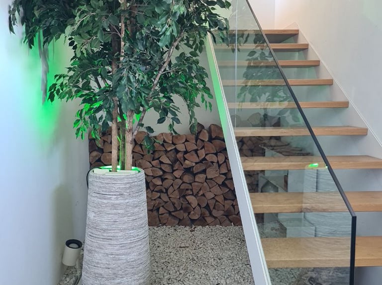 entrada de casa y leñero