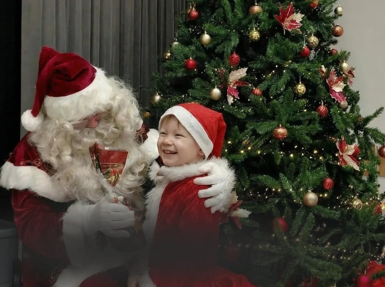 Kalėdų senelis į namus