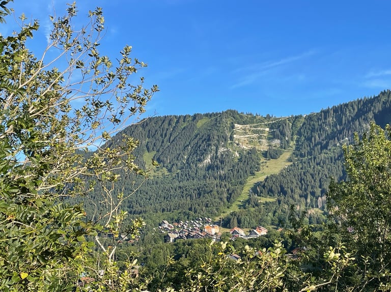 Vue sur la station de Thollon-les-Mémises