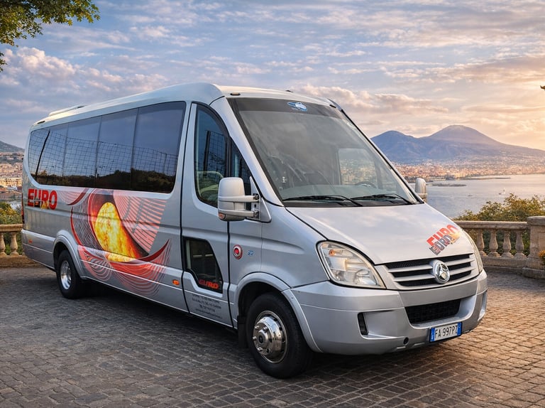 Noleggio con conducente minibus