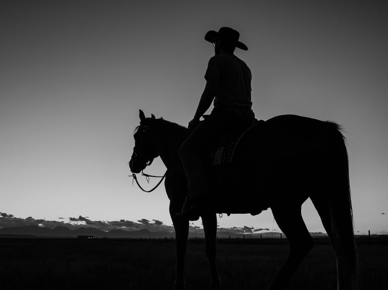 a man in a cowboy hat riding a horse, cowboy silhouette