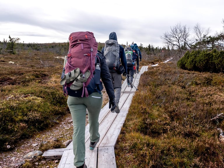 a group of people walking on a wooden decks through the grass fields in Sweden