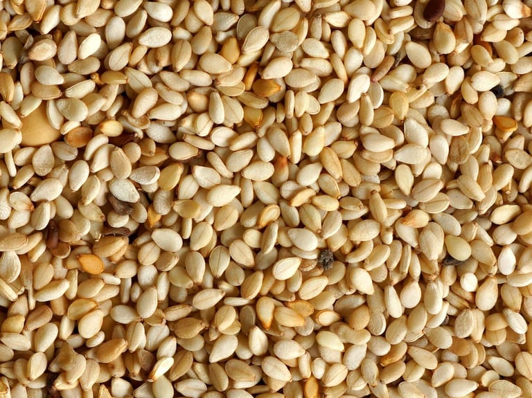 Biggest Sesame Seed Exporters in Pakistan