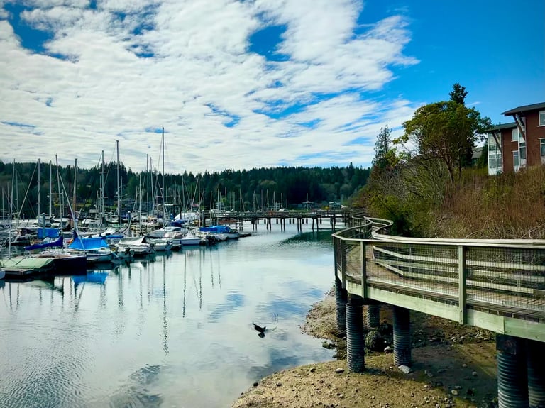 a dock with boats and a bird on the water