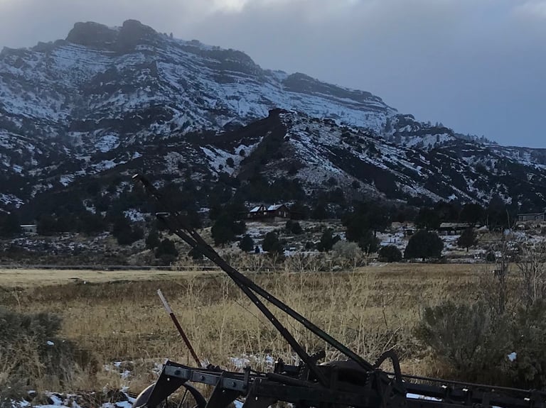 Surprise Valley California