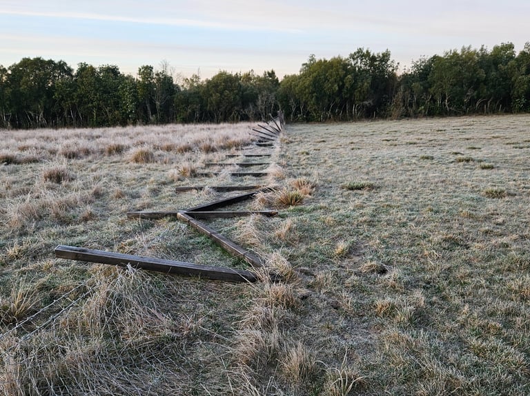 Cierre perimetral dañado por paso de vacas en parcela rural Región de la Araucanía