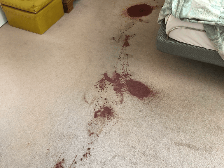 A trail of dark red wine stains splattered across a beige bedroom carpet next to a bed.