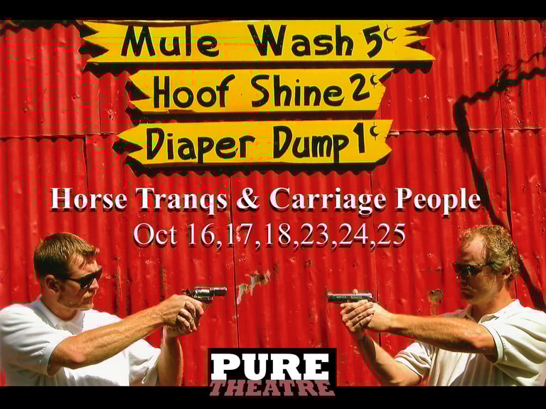 Photo by Jennifer P. Smith - Horse Tranqs & Carriage People