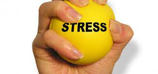 stress buster in gym.