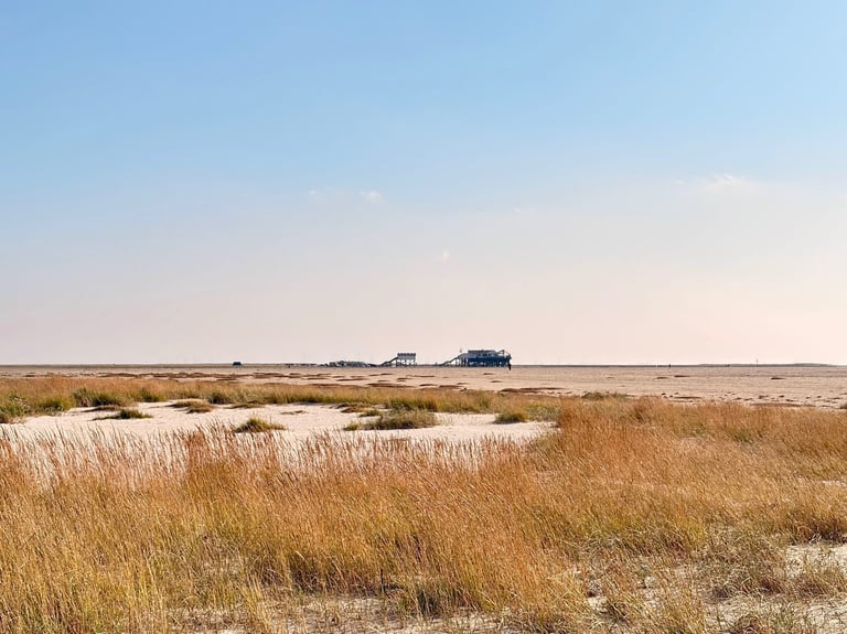 Landschaft am Böhler Strand, Pfahlbauten