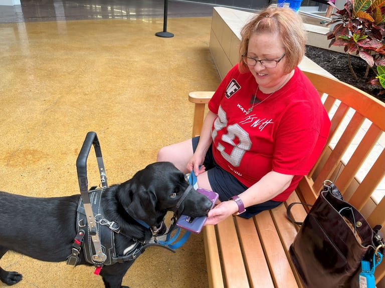 A mobility service dog wearing a balance harness delivers a cell phone to his partner's hand