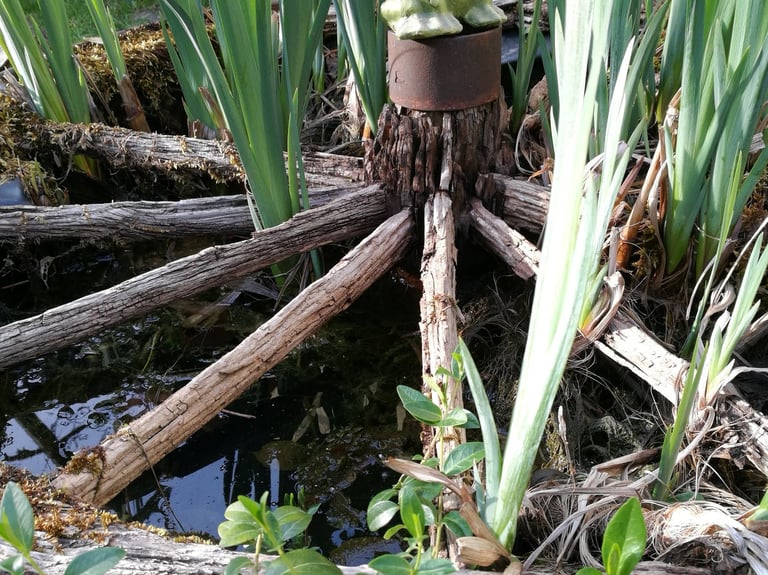 Ein kleines Detail aus dem Garten
