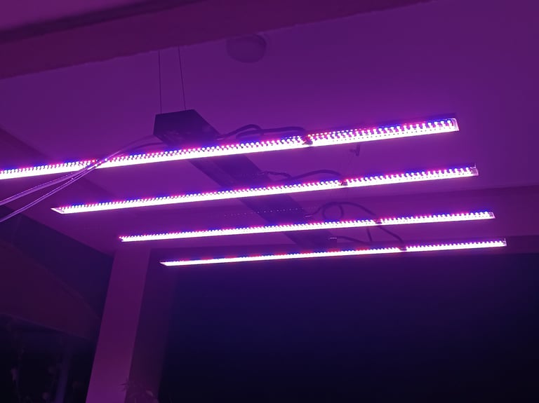 Customizable Spectrum Light