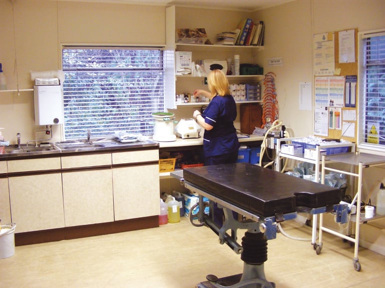 Cabinet vétérinaire où sont réalisés les soins et contrôles des chiots Rhodesian Ridgeback en France