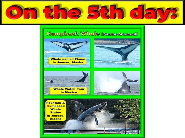 Fish of the Seas on the 5th day designed by Debbie Dunn using PowerPoint & Paint