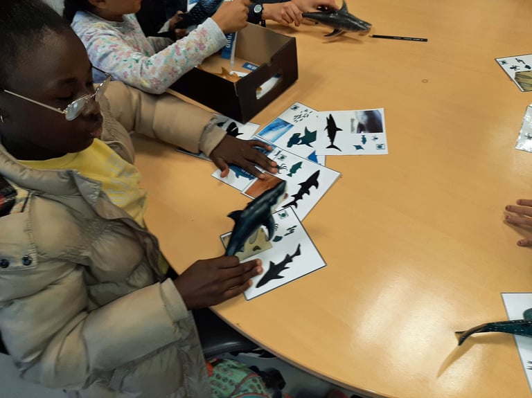 un enfant dans une classe CLAS avec un requin