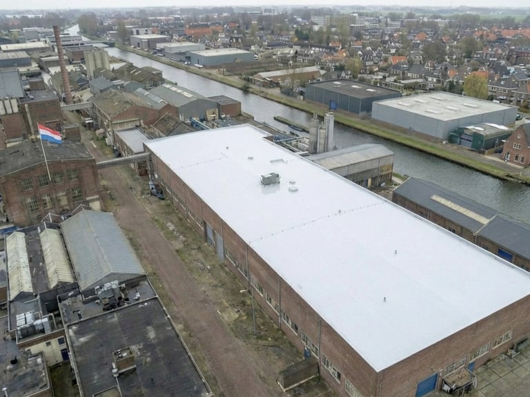 Professionele dakcoating