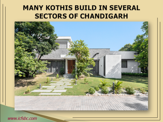 Many Kothis Build in Several Sectors of Chandigarh