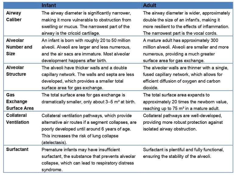 Schematic comparison of infant vs. adult lungs