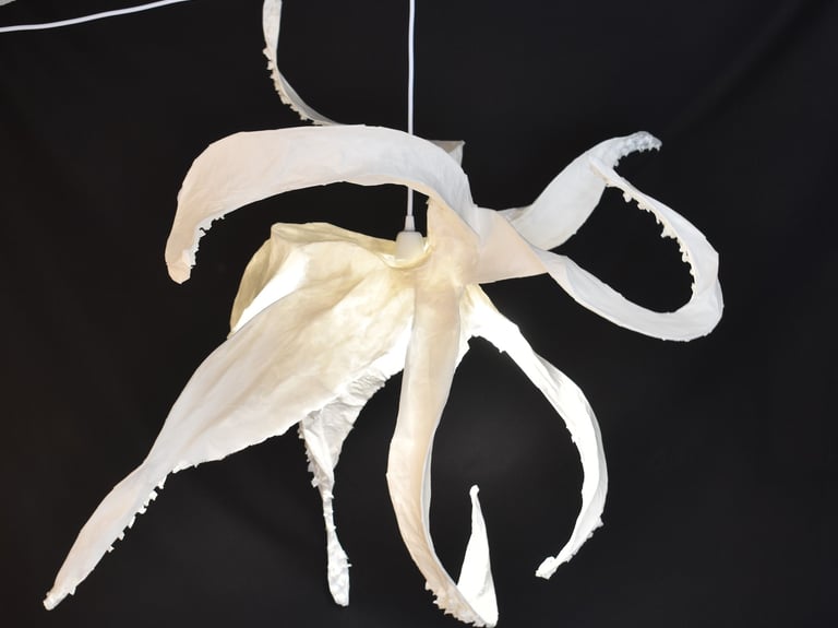 poulpe papier sculpture Sète
