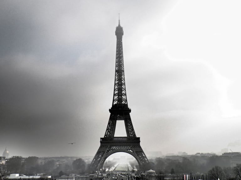 French Acupuncture Needle the Eiffel Tower