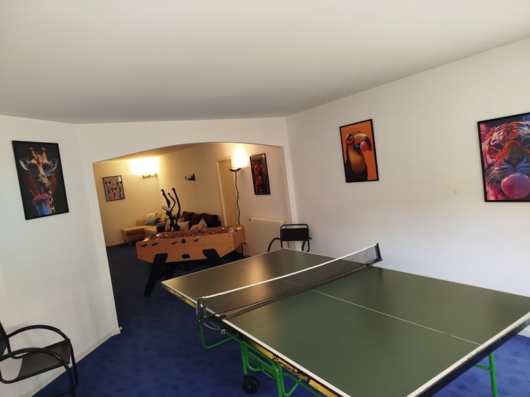 une table de ping-pong et un babyfoot