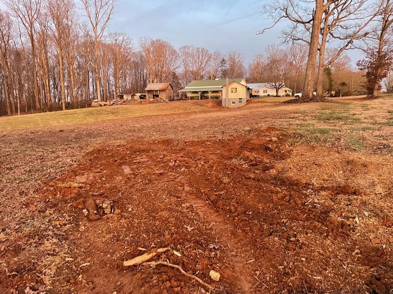 Second stump removed and cleaned up.