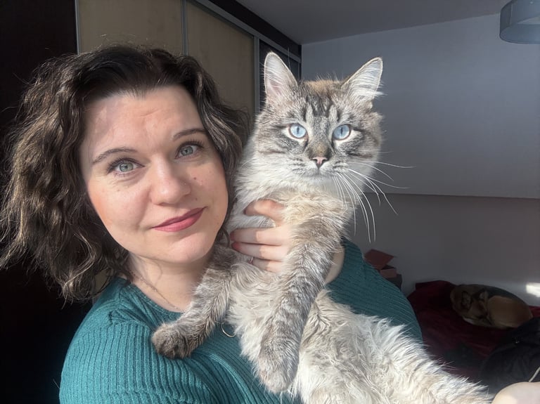 Martina Million ragdoll cat