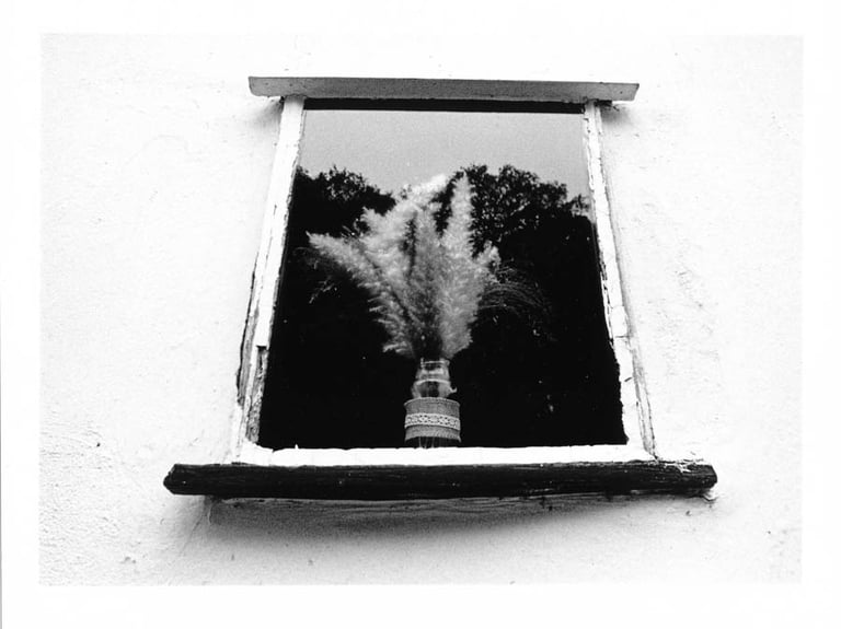 Window in the old house with a flowers on a windowsill. Creator: Slawek Dejneka