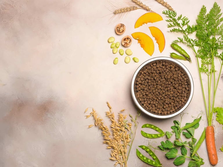 NUTRIÇÃO COMIDA NATURAL DAY CARE PET