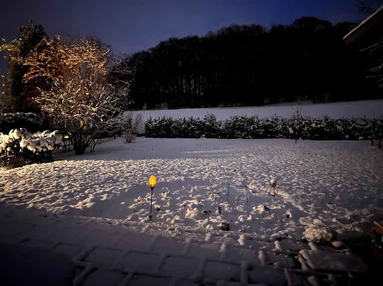 The stillness of this snowy landscape at night represents the state of least excitation where Silenc