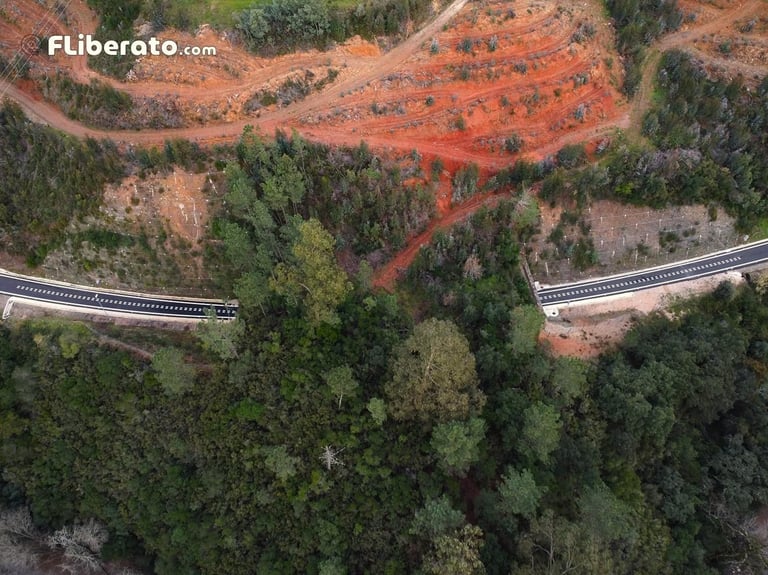 Metrobus Mondego guiamento ótico túnel