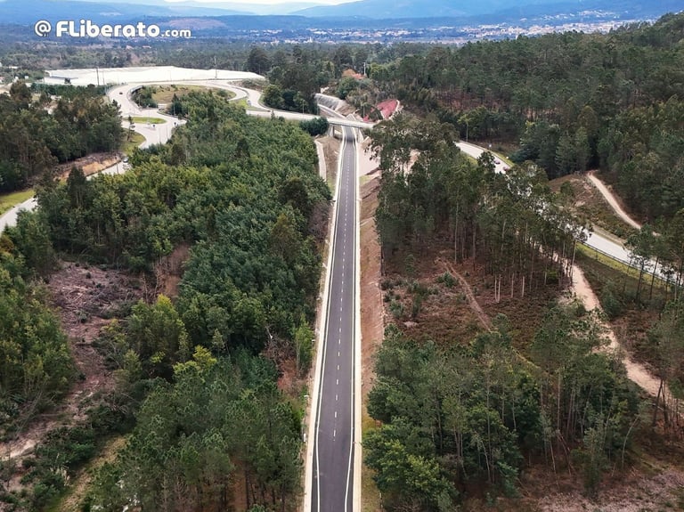 Metrobus Zona Cruzamento Padrão