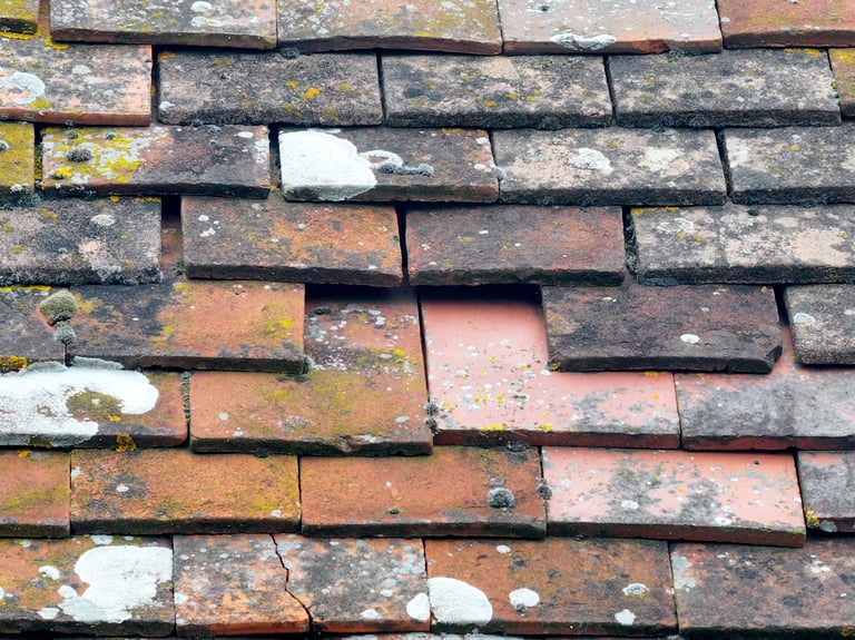Roof Problem Isle of wight