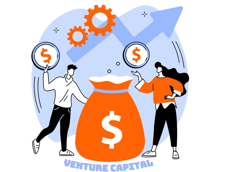 Veture capital