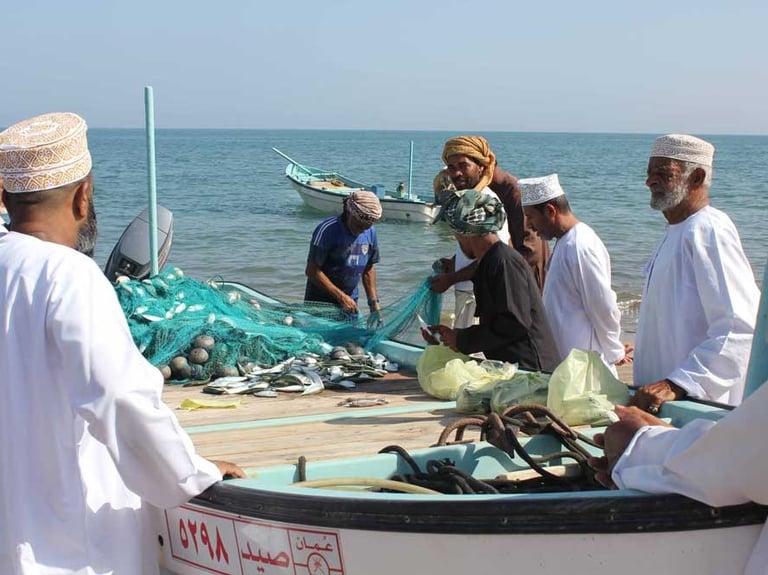 endüstriyel-sogutma-cihazi-montaji-ve-yerli-imalat-soguk-oda-kurulumu