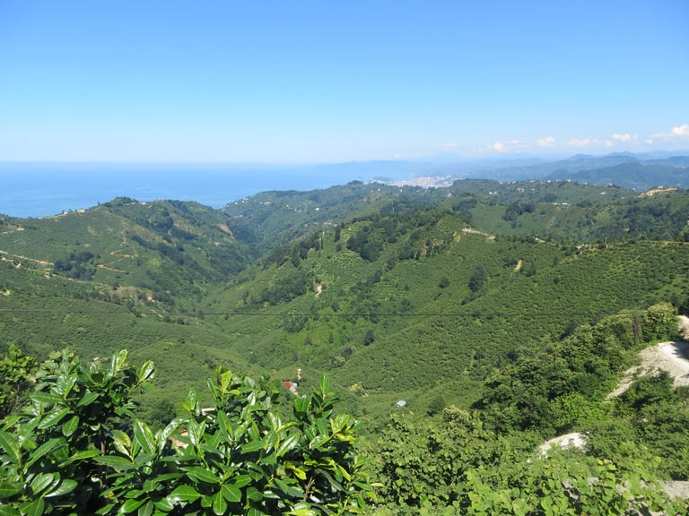 Hills around Bulancak