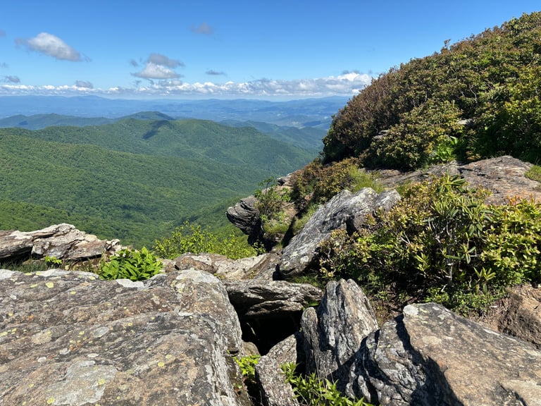 View from Craggy Pinnacle Summer 2024