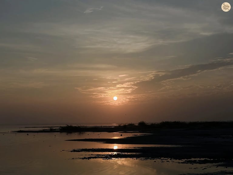 Sunrise casting warm hues over Sambhar Lake.