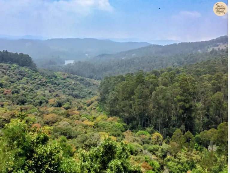 Forest view from Mathikettan View Point in Kodaikanal.