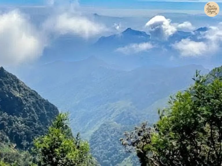 Scenic view of Cap’s Fly Valley in Kodaikanal.