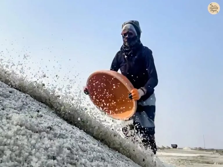 A local woman collecting raw salt from the pans of Sambhar Salt Lake under the warm Rajasthan sun.