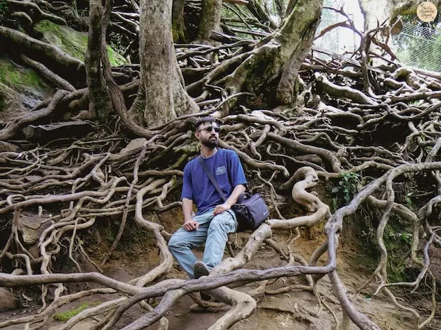 Person at twisted roots of Guna Cave, creating a mysterious, unreal vibe.