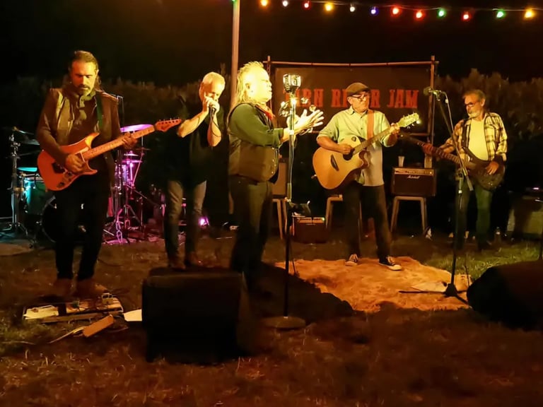 TARN PHOTO GROUPE JOUE MUSIQUE