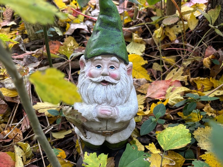 Garden Gnome at Mallow Rose Cottage, Autumn 2024