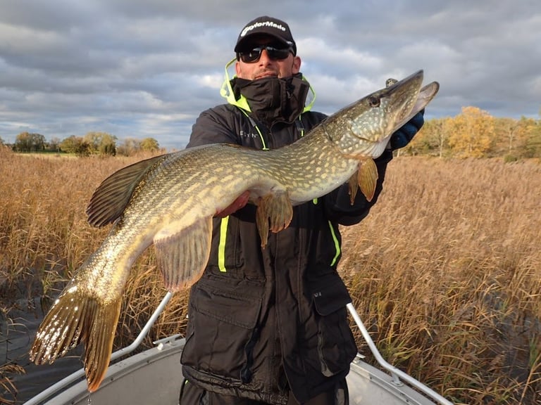 un pêcheur tient un gros brochet en suede