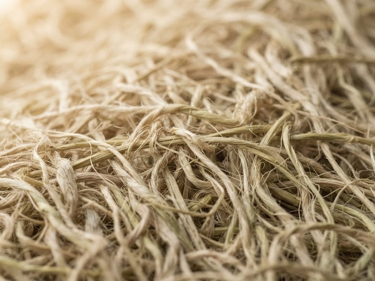 Elegant close-up of raw bamboo fibers, pure and unbleached, under warm, diffused morning light, casting gentle shadows. Focus on texture and material integrity, minimalist composition.