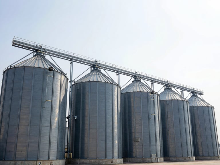 Wide panoramic shot of massive modern agricultural grain silos under a bright, high-contrast sky, clean industrial farm architecture, daylight.