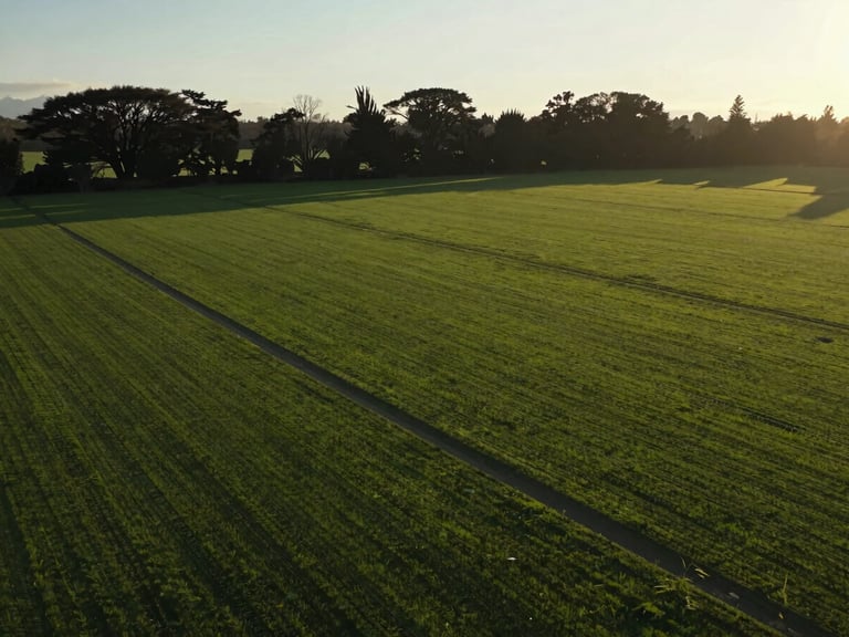 Cinematic drone view of a perfectly flat green land plot in southern Chile, clear property boundaries marked, golden hour lighting, native trees in the background.