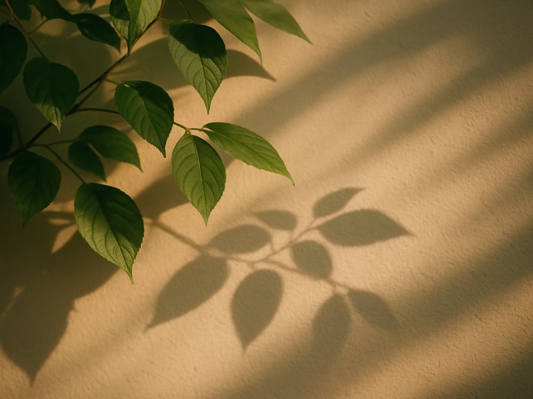 Soft sunlight filtering through green leaves, creating delicate shadows on an off-white wall